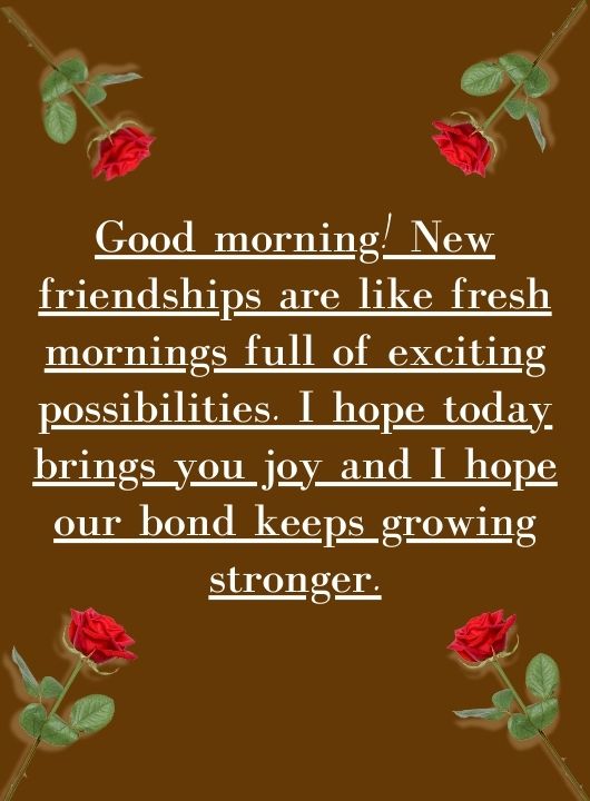 Good Morning Message for a New Friend