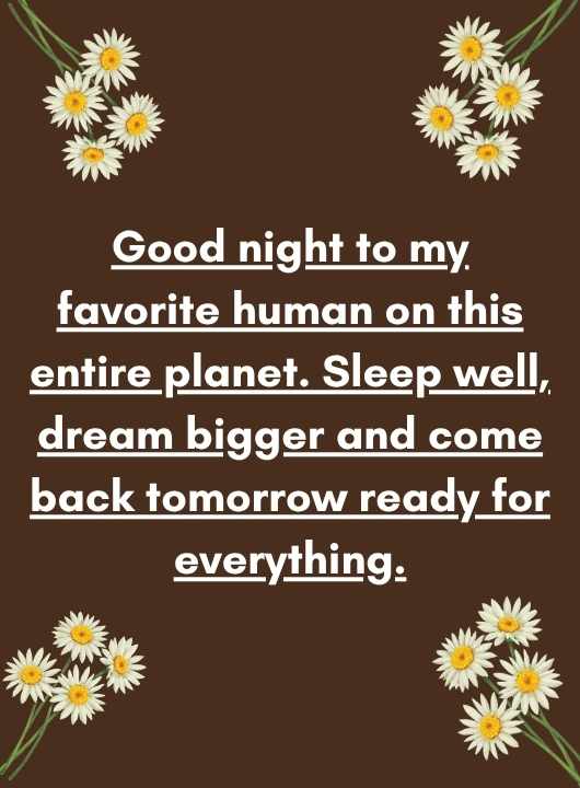 Good Night Messages for Best Friends