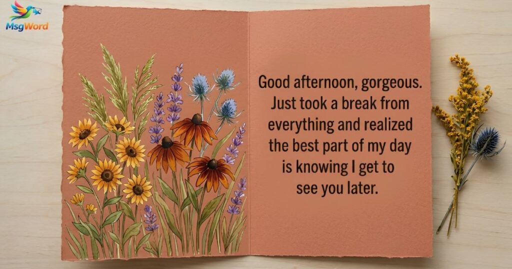 Best Good Afternoon Message to Her